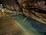 IMG_2460